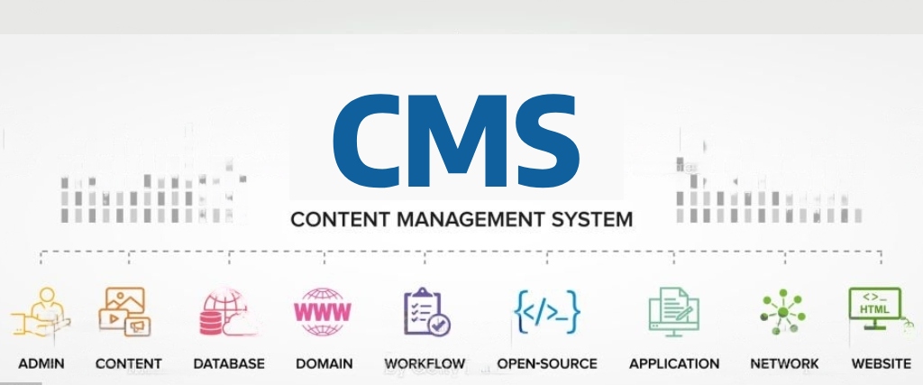 blog-details4. Choosing the Right CMS for Your Website